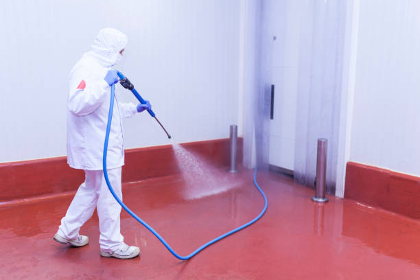 Best Restaurant Pressure Washing  in Conroe, TX